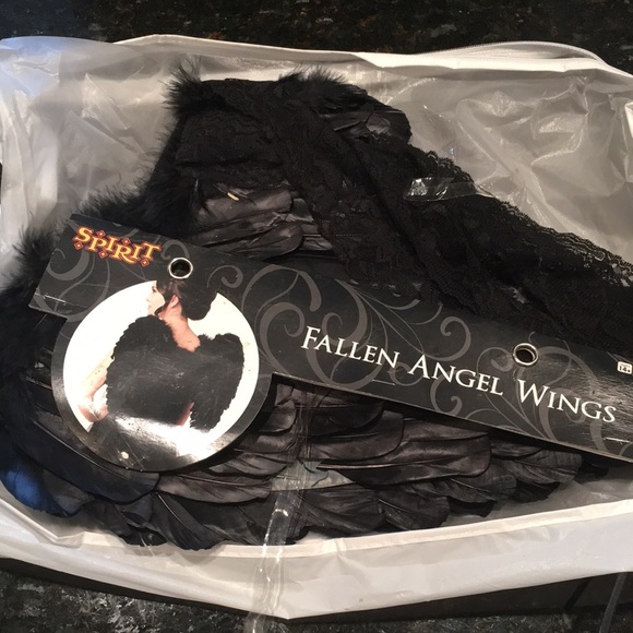 Spirit Other - NWT Fallen Angel Wings